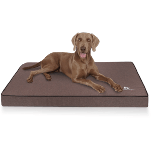 Braune Knuffelwuff Hundematte Nantucket XXL mit Hund. Orthopädische Velours Hundedecke, 115x80cm.