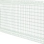 Grüner 3D-Einstabmattenzaun, 120x200 cm, für den Garten.