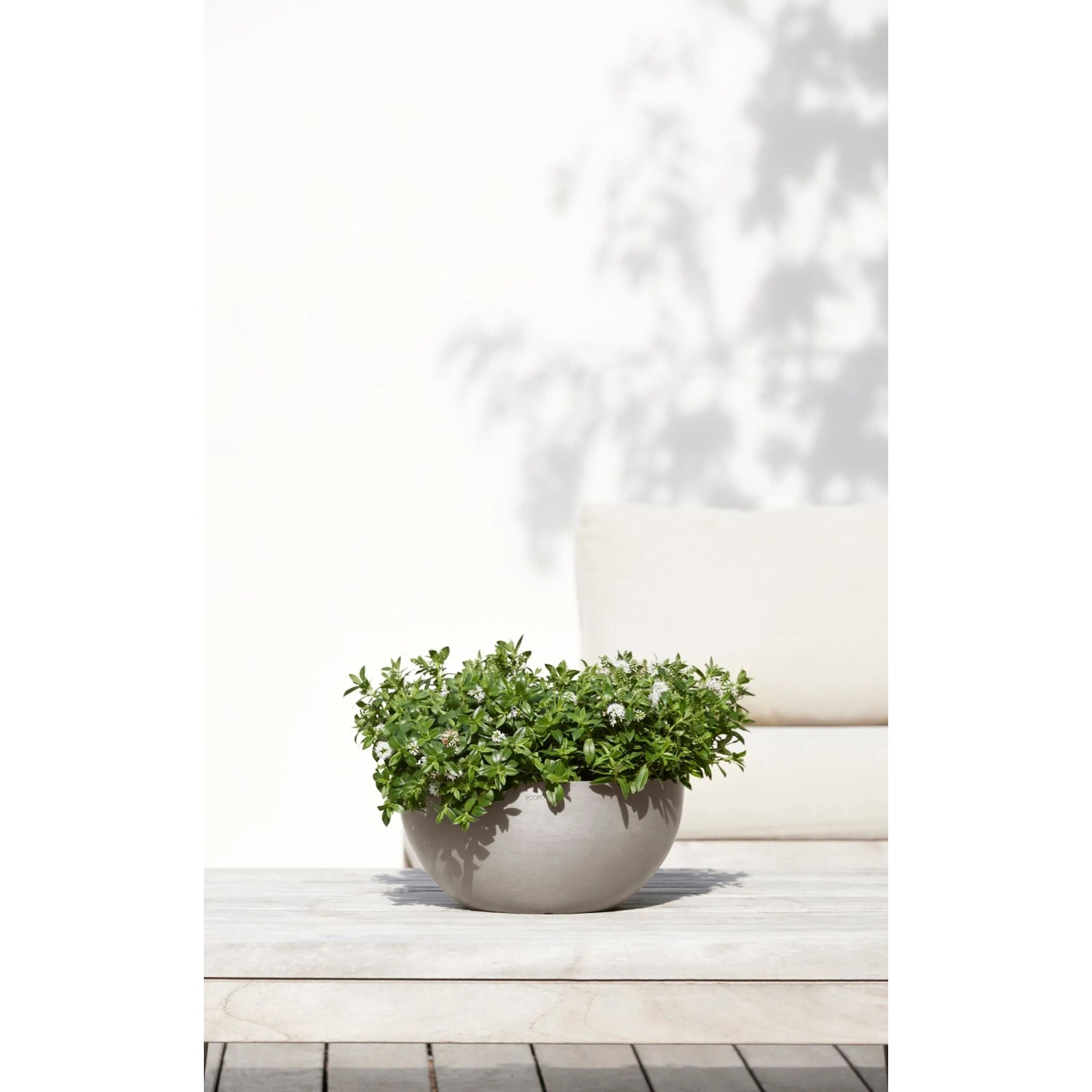Ecopots Pflanztopf Brussels Braungrau 30 cm x 14 cm kaufen bei OBI