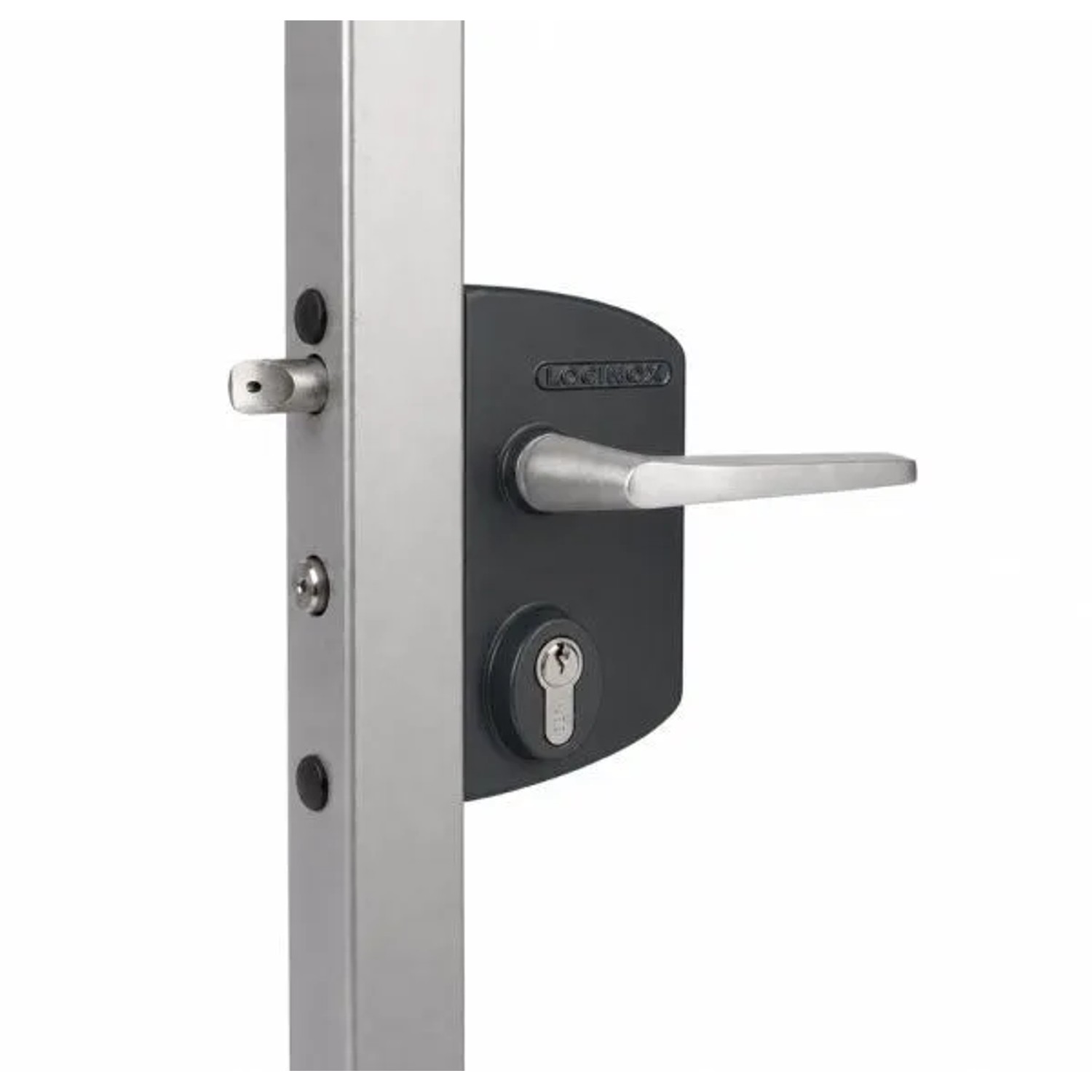 FeNau Industrieschloss Aluminium Edelstahl Für Profilrohre 40-60mm RAL 7016 Inkl. Drückergarnitur Zylinder