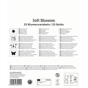 Kiepenkerl Blumenzwiebel Mega Pack Soft Blossom, 25 Stück. Mischung aus roten, blauen und weißen Blüten.