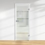 Glasdrehtür mit Siebdruck Dekor, ESG Floatglas, DIN Rechts, für mehr Licht im Raum.