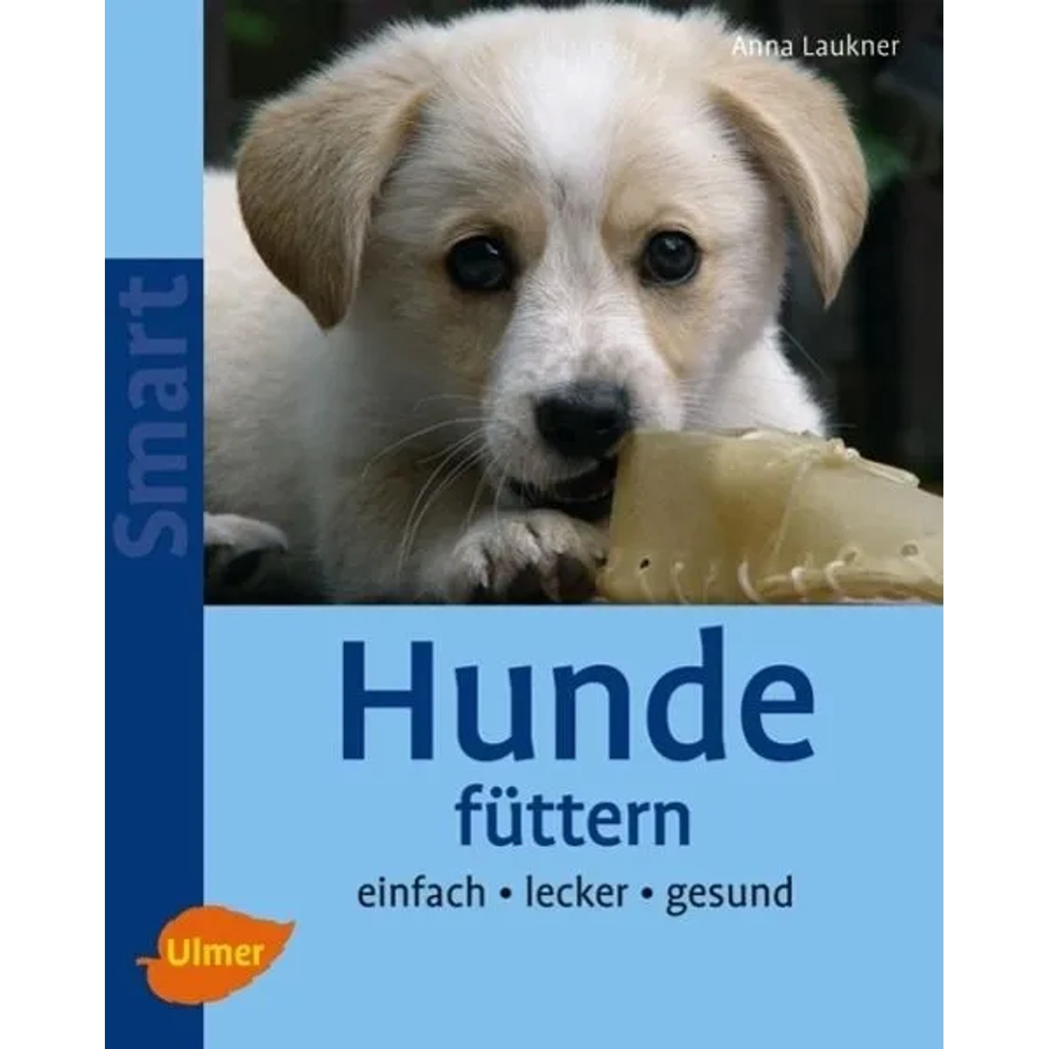 Hunde füttern