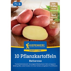 Kiepenkerl Pflanzkartoffel Bellarosa, 10 St
