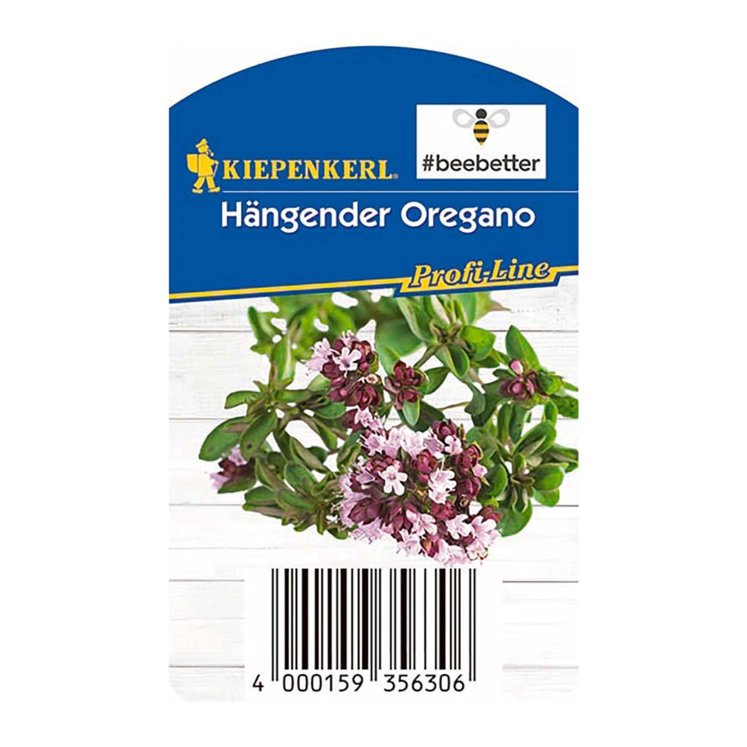 Kiepenkerl Oregano hängend Bee Better Topf-Ø ca. 12 cm