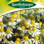 Packung Quedlinburger Echte Kamille 'Bodegold' mit weißen Blüten und gelber Mitte.