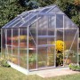 Halls Gewächshaus Popular 86 Alu, 5 m², mit Pflanzen im Garten.