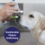 Canosept 3-Kopf-Zahnbürste für Hunde in Anwendung mit Zahnpasta. Hunde-Zahnpflege für gesunde Zähne.
