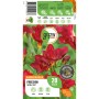 Verpackung rote, gefüllte Freesien Blumenzwiebeln von GROW by OBI, Blütezeit Juli bis September.