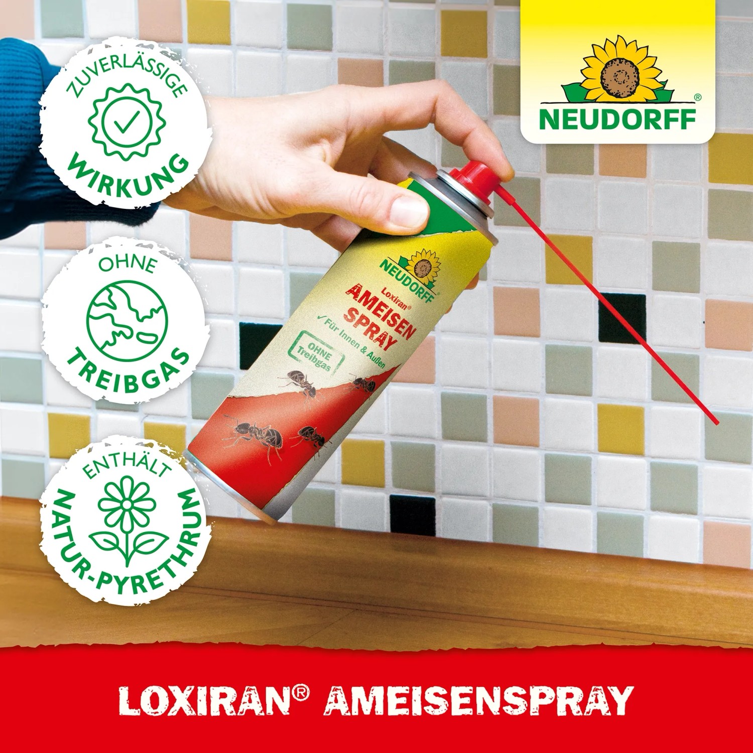 Neudorff Loxiran Ameisen-Spray (400ml) in Anwendung gegen Ameisen.