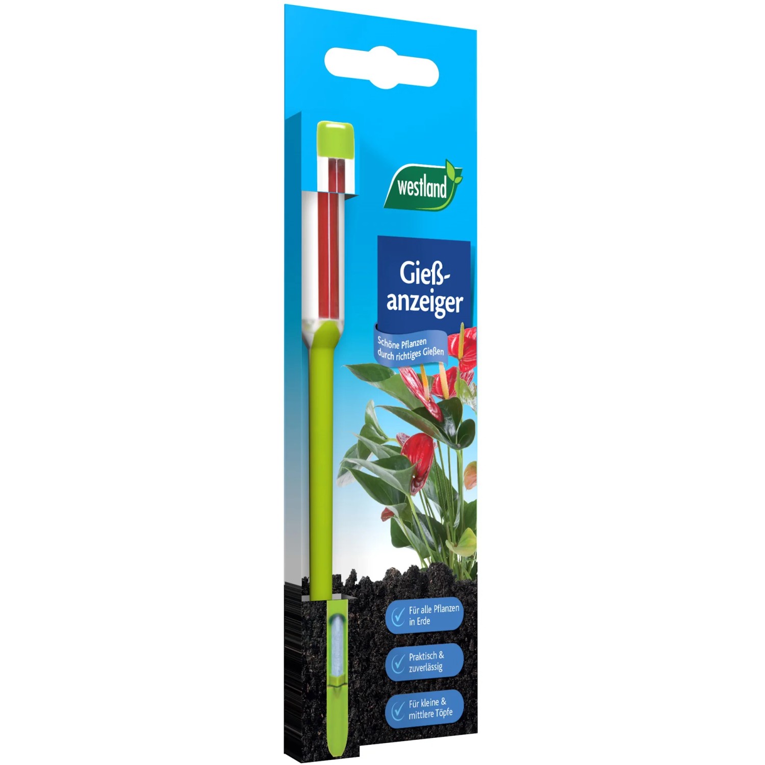 Westland Gießanzeiger Grün 16 cm für Pflanzen in Blumenerde.