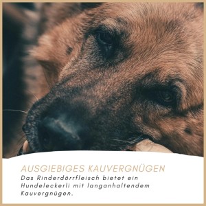 Supravit Rinderdörrfleisch  Kausnack für Hunde