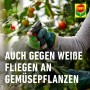 Anwendung von Compo Insektenmittel Prev-AM gegen Blattläuse auf Gemüsepflanzen.