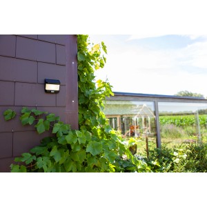 Lutec LED Solar Wandleuchte, mattschwarz, mit Weinrebe an Hauswand.