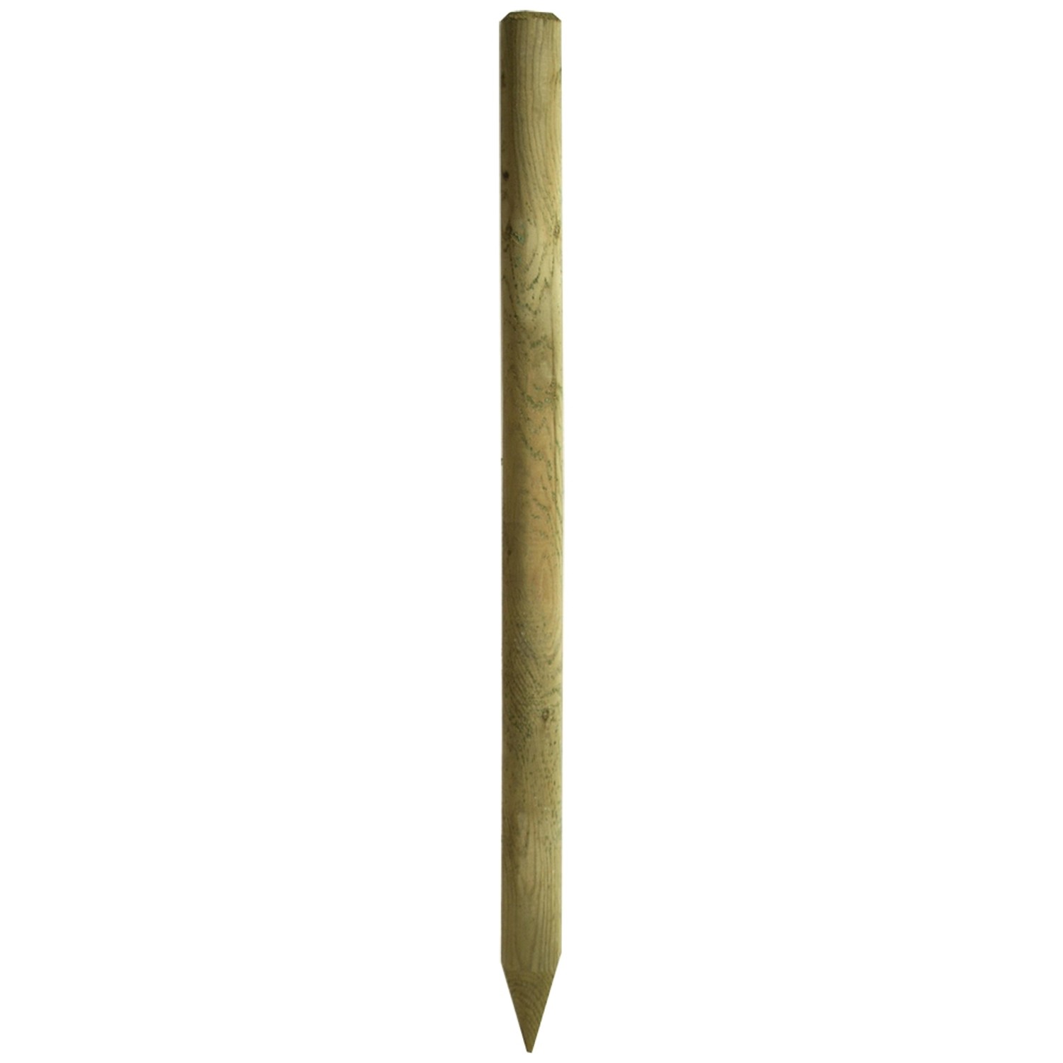 Baumpfahl Ø 6 cm x H 100 cm druckimprägniert FSC® kaufen bei OBI