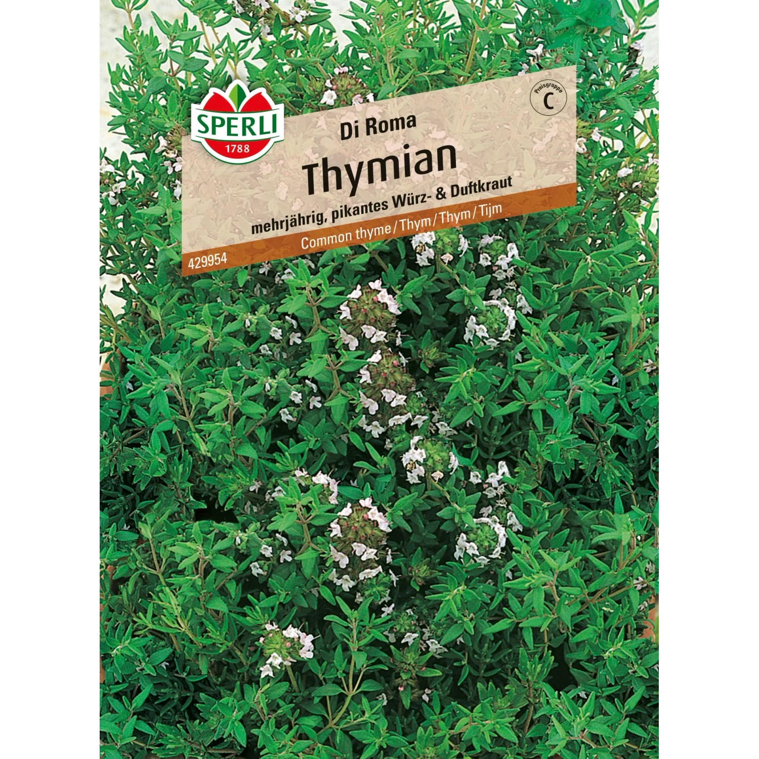 Sperli Thymian "Di Roma"