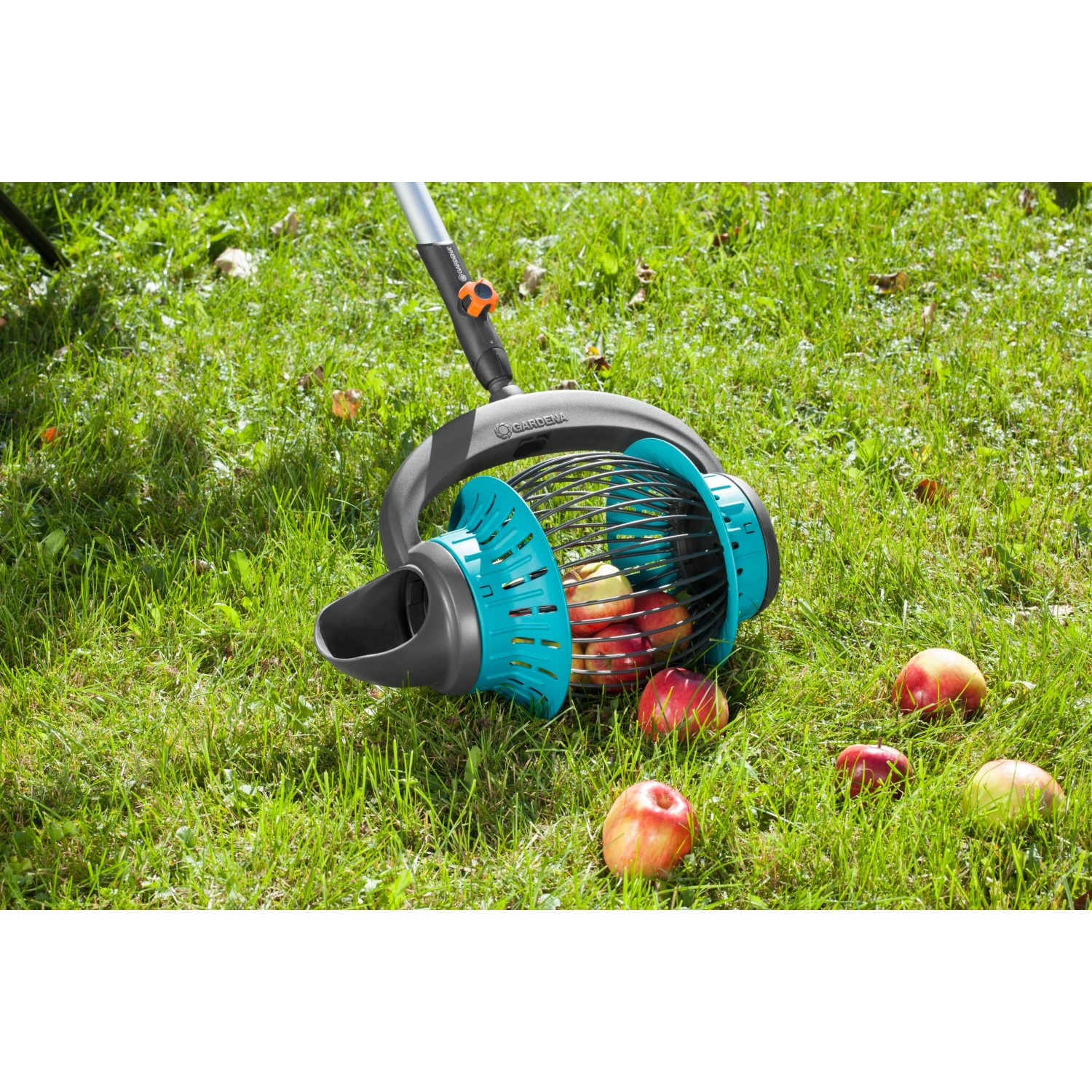 Gardena cs-Rollsammler mit Stiel zum Aufsammeln von Fallobst und Nüssen im Garten.