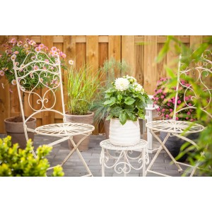 Dahlie 'Dahlietta Whitney' im Topf mit weißen Blüten auf Gartentisch zwischen Gartenstühlen.