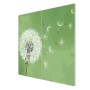 2-teilige Glas Herdabdeckplatte mit Pusteblumen Motiv, je 30x52 cm.