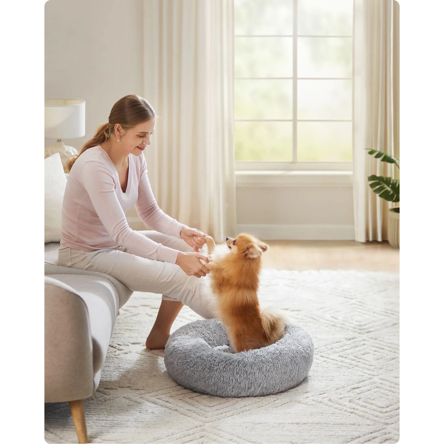 Frau spielt mit kleinem Hund in grauem, flauschigem Hundebett. Das runde Hundesofa bietet Komfort.