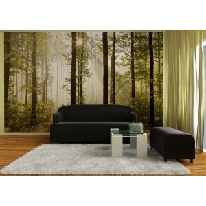 Sanders Fototapete: Bewaldete Landschaft in Grün, 360x270cm. Natürliche Wald-Optik für Ihr Zuhause.