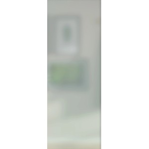 Satiniertes Glas 53,5x142 cm für Holz-Innentür, Lichtausschnitt für mehr Helligkeit.