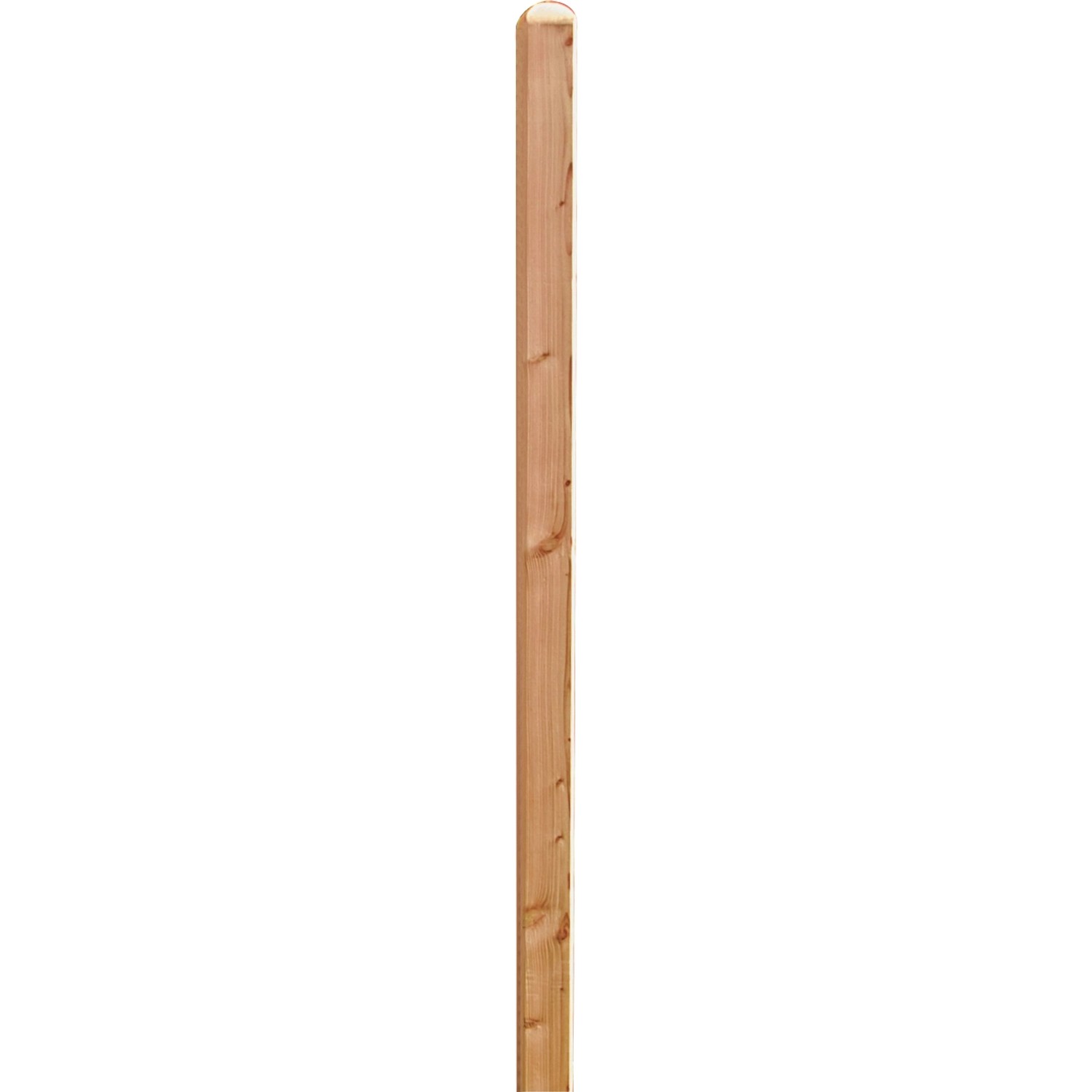 T & J Pfosten Douglasie Kopf gerundet 100 cm