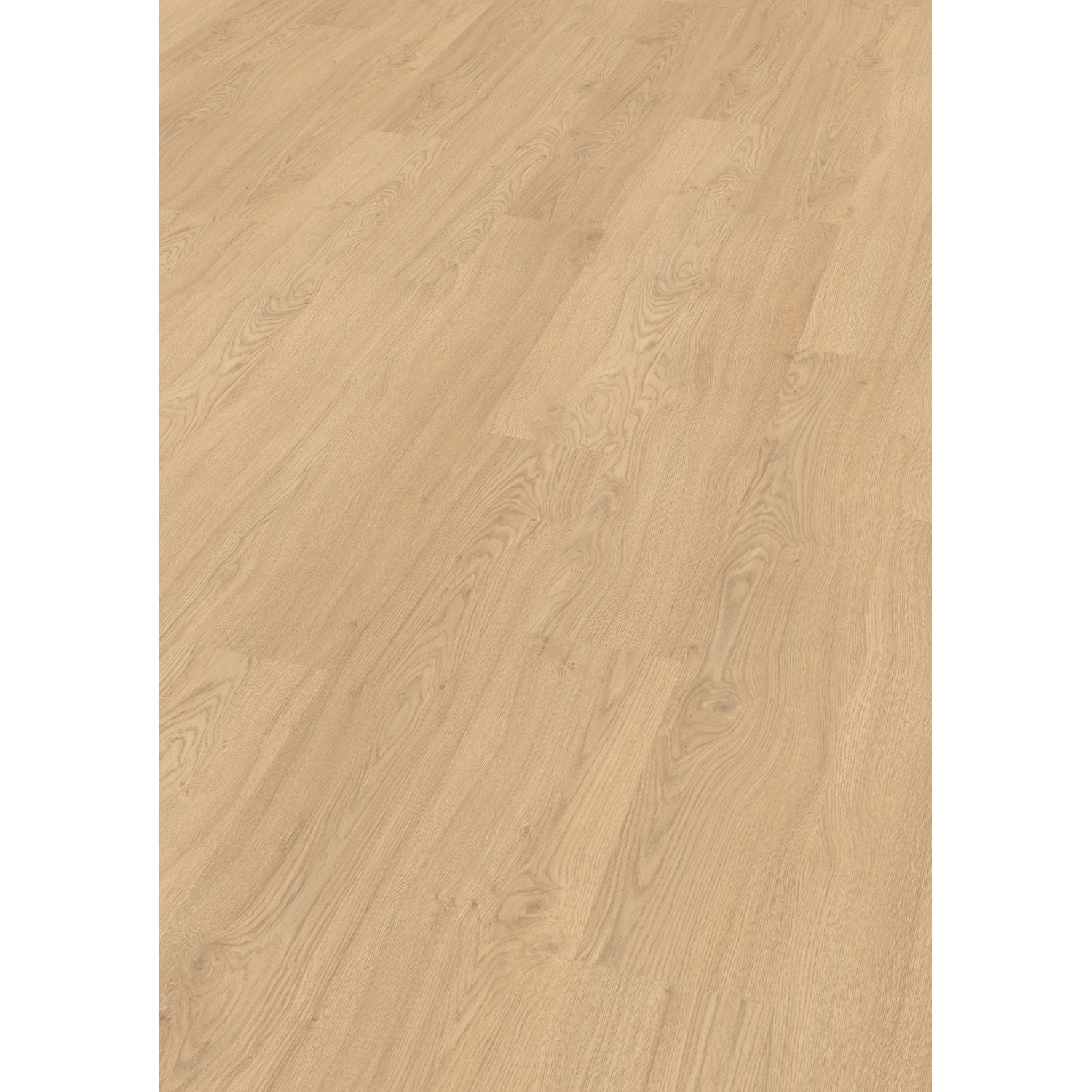 Egger Laminatboden EL2974 NatureSense Matera Eiche Hell günstig online kaufen