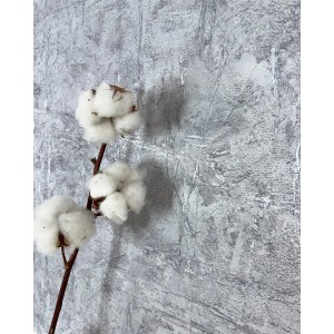 Newroom Vliestapete Manja Dunkelgrau Unifarbe Modern FSC®