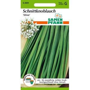 SAMEN PFANN Schnittknoblauch Shiva