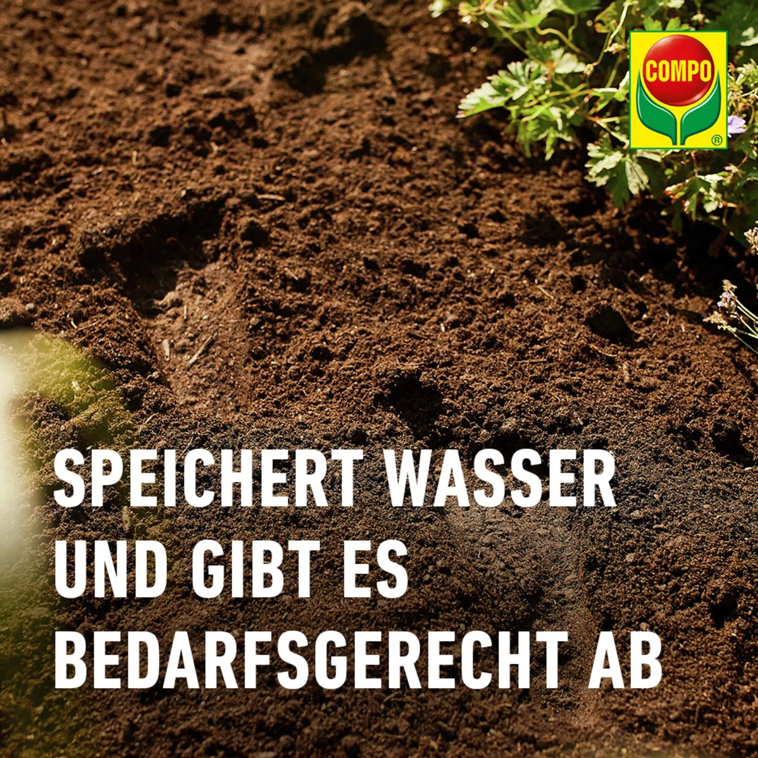 Compo Sana Balkon- und Kübelpflanzenerde 1 x 70 l_5