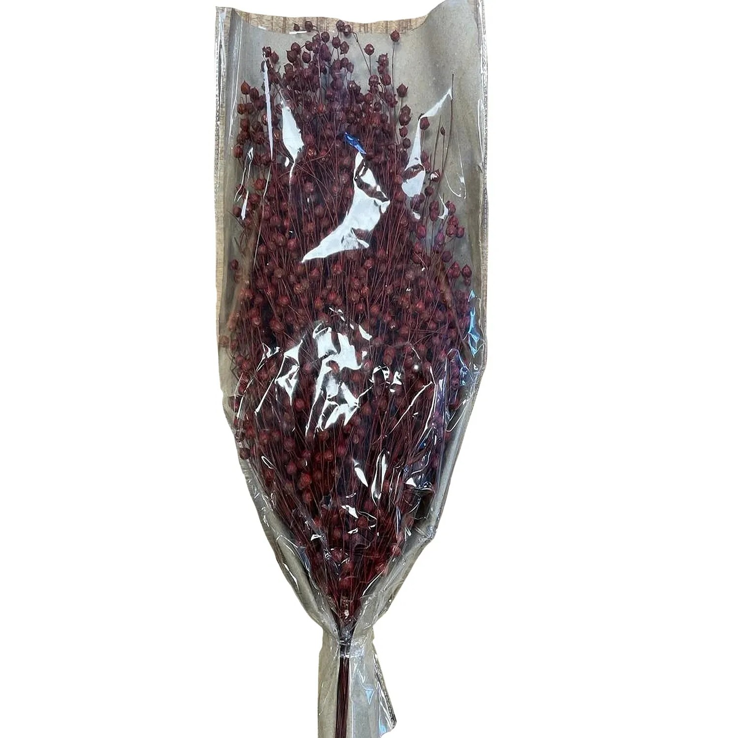 Trockenblumen Linum Dried Flowers 50 g Rot