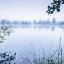 Komar Vlies Fototapete Morning View (200x100cm) mit ruhiger See- und Natur-Szene.