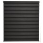 Sol Royal Doppelrollo SolDecor DL2, 85x150cm, Schwarz, für Fenster, mit transparenten und blickdichten Streifen.