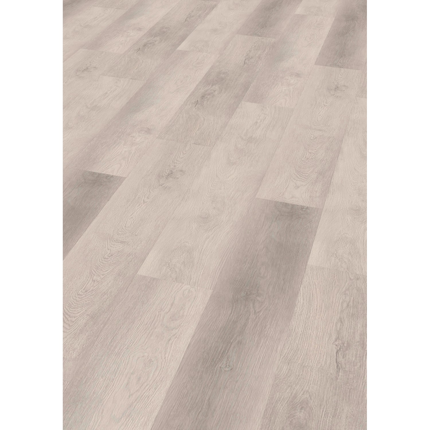 Click-Vinylboden SPC Asmara Eiche günstig online kaufen