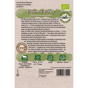 Bio-Butternut-Kürbis Samen von Quedlinburger, samenfeste Sorte für süße, nussartige Früchte.