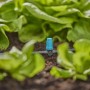 Gardena Kleinflächendüse im Beet zur Bewässerung von Salatpflanzen. Micro-Drip-System.
