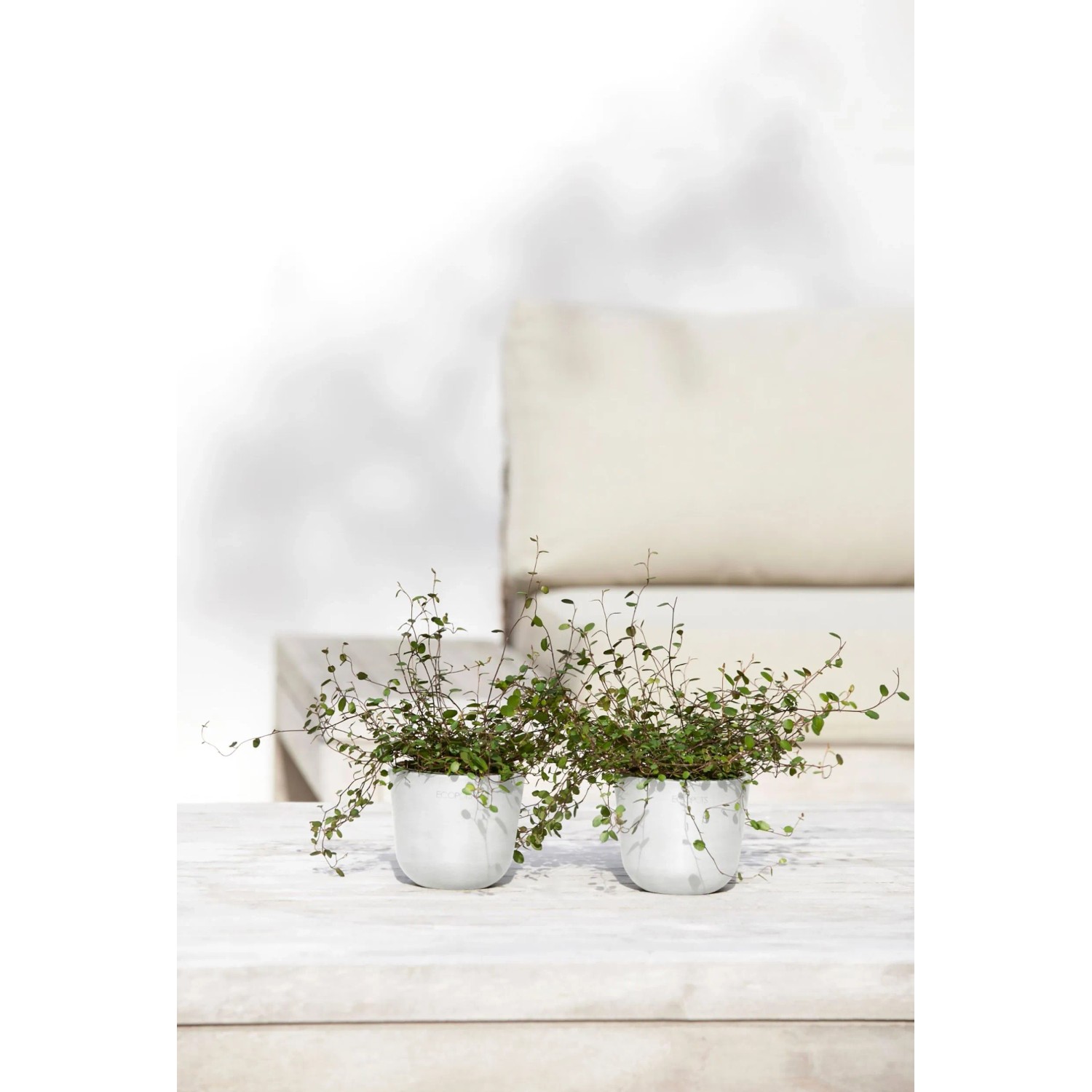 Ecopots Blumentopf Oslo Mini Weiß 11,5 cm x 10 cm kaufen bei OBI