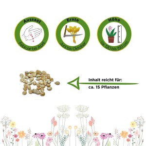 Bild von Deine Gartenwelt Stabtomaten Harzfeuer F1 Samen, mit Aussaat-, Ernte- und Höhenangaben.