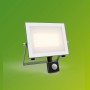 Anthrazitfarbener Philips LED-Außenstrahler mit Sensor, 4.450 Lumen, 3.000 K.