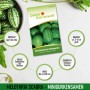 Samenpackung Mexikanische Minigurke mit Früchten in Schale. Infos zu Aussaat, Ernte, Größe und Wuchshöhe.