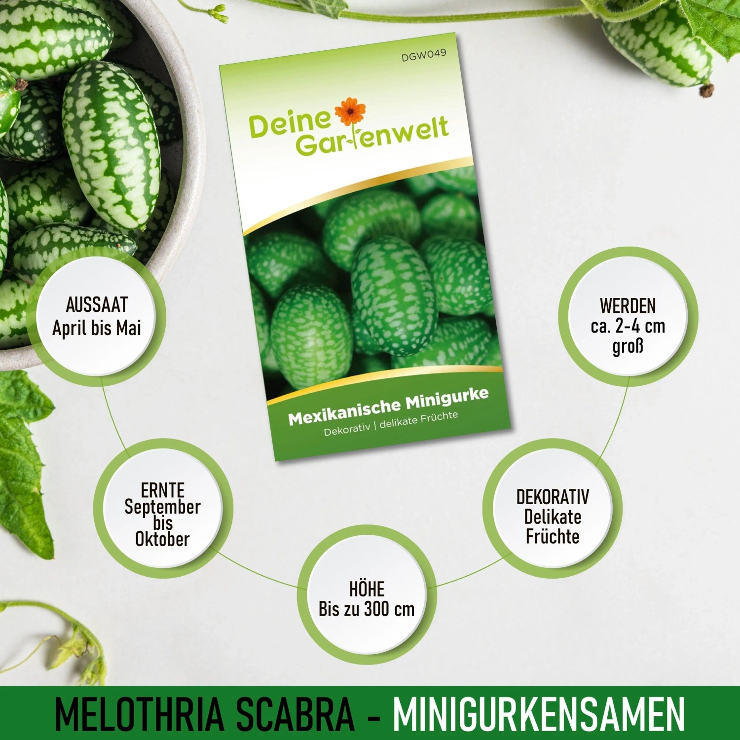 Samenpackung Mexikanische Minigurke mit Früchten in Schale. Infos zu Aussaat, Ernte, Größe und Wuchshöhe.