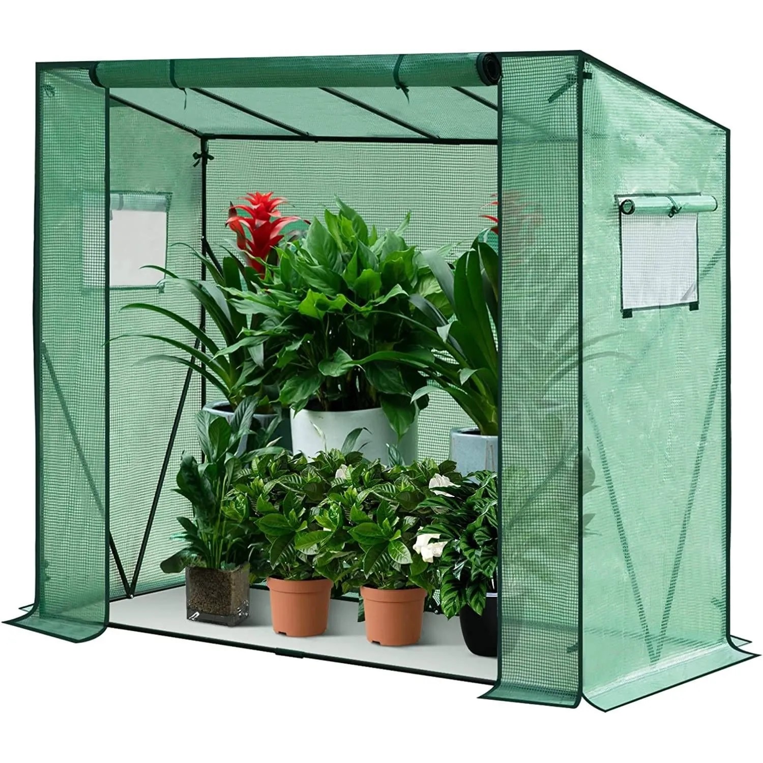 WOLTU Foliengewächshaus PE Halbtransparent 200x77x146/169 cm Grün