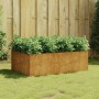 Rechteckiges furnicato Hochbeet aus Cortenstahl (120x80x40 cm) mit Bepflanzung im Garten.