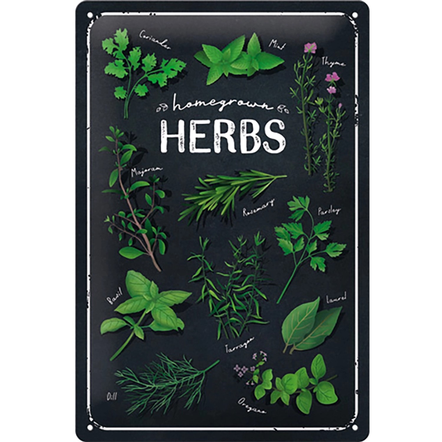 Regalo Jardineria Nostalgic-Art Cartel De Metal Retro De 20 X 30 Cm, Garden Tools Jardinera