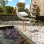 Ubbink Storch 87 cm als Gartendeko für Teich oder Rasen. Naturgetreue Tierfigur.