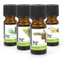 Höfer Chemie Duftöl-Set Nr. 4: 4 Duftöle (Kiefer, Konifere, Fichte, Vanille) in braunen Glasflaschen.