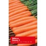 Frische, orangefarbene Möhren Nantes 2 mit grünem Kraut, Gemüsesamen für den Garten.