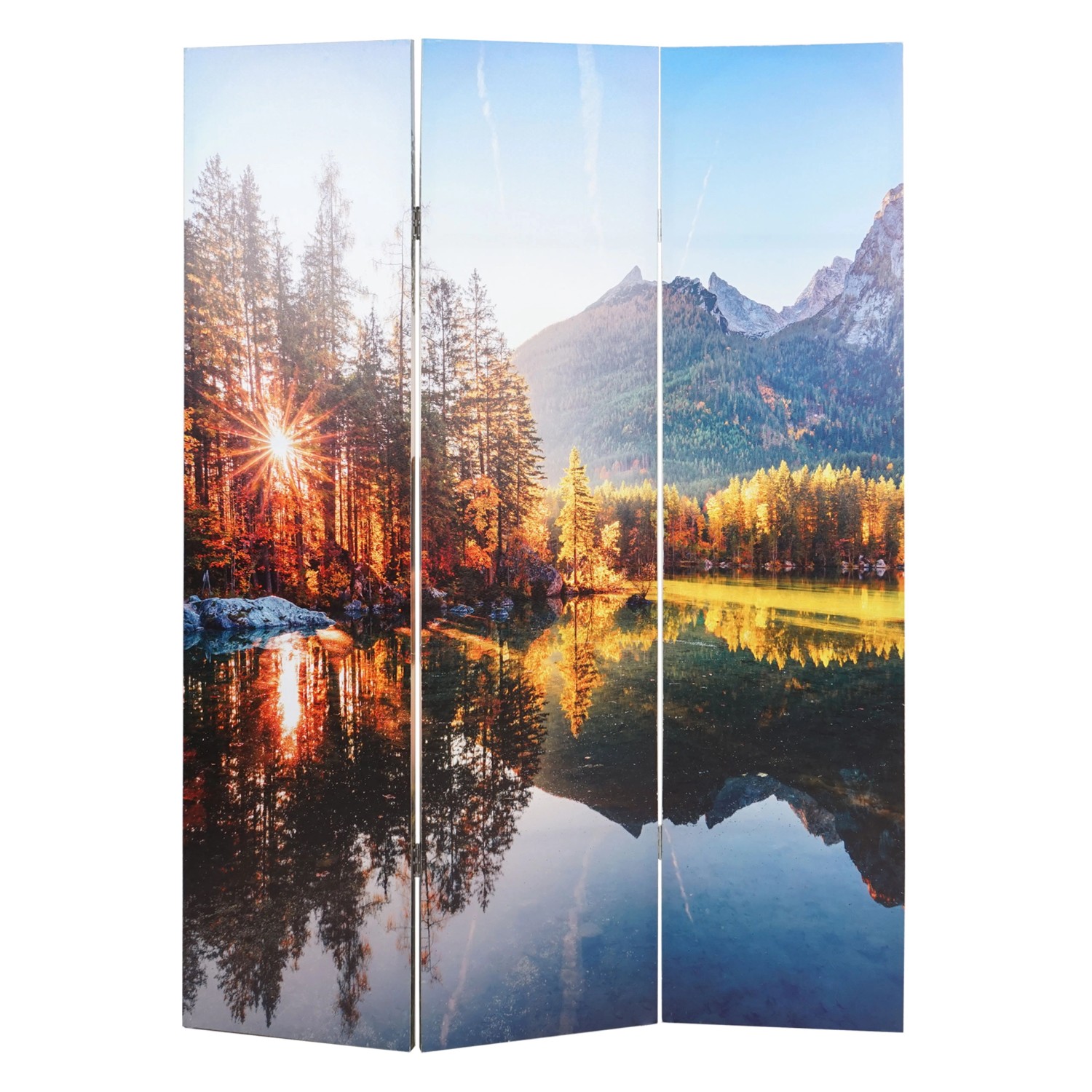 MCW Foto-Paravent mit Schallschutz L55 180x122cm Waldsee günstig online kaufen