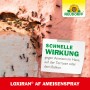 Ameisenbefall an Hauswand, bekämpft mit Neudorff Loxiran AF Ameisen-Spray.
